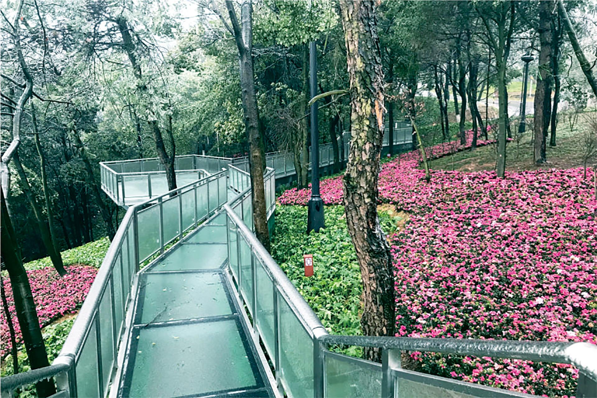 仙山公園提質(zhì)改造